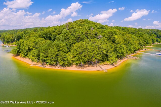 551 County Road 4001, Logan, AL 35098 - photo 12