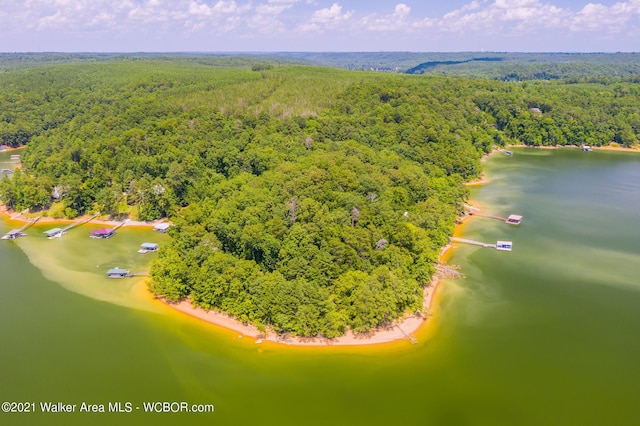 551 County Road 4001, Logan, AL 35098 - photo 14