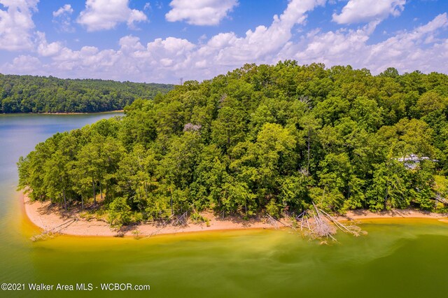 551 County Road 4001, Logan, AL 35098 - photo 7