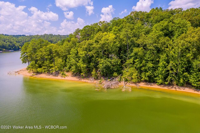551 County Road 4001, Logan, AL 35098 - photo 9