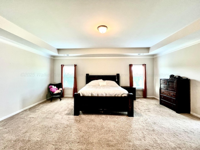 405 Meadow Way, Jasper, AL 35504 - bedroom with a tray ceiling, carpet floors, and crown molding