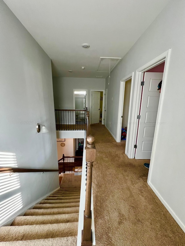 405 Meadow Way, Jasper, AL 35504 - stairs featuring attic access and carpet flooring