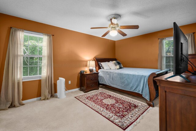 2606 Briarcliff Rd, Jasper, AL 35504 - photo 13