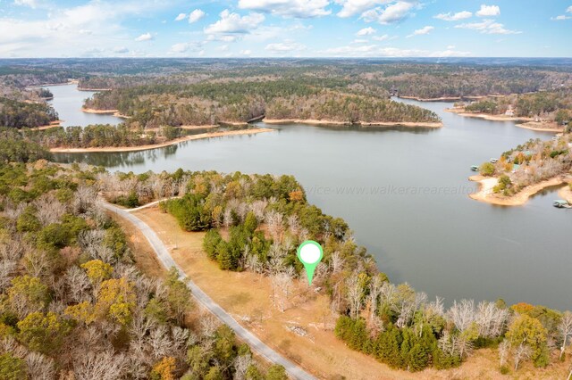 LOT17 Sipsey Overlook, Double Springs, AL 35553 - photo 6