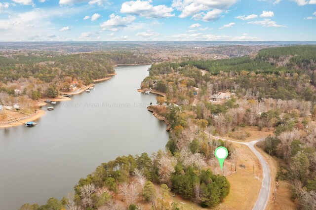 LOT17 Sipsey Overlook, Double Springs, AL 35553 - photo 2