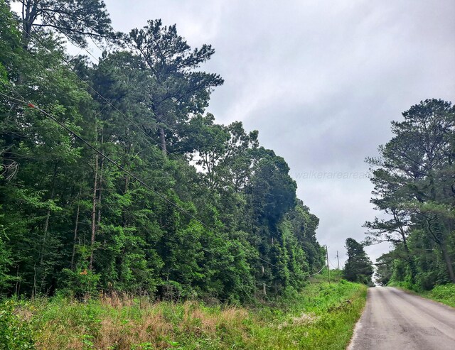 Old Parrish Cordova Rd, Parrish, AL 35580 - photo 2