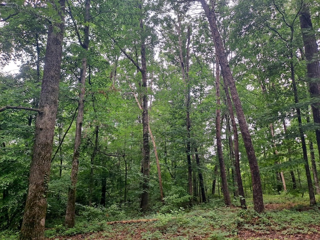 Old Parrish Cordova Rd, Parrish, AL 35580 - photo 11