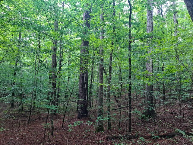 Old Parrish Cordova Rd, Parrish, AL 35580 - photo 3