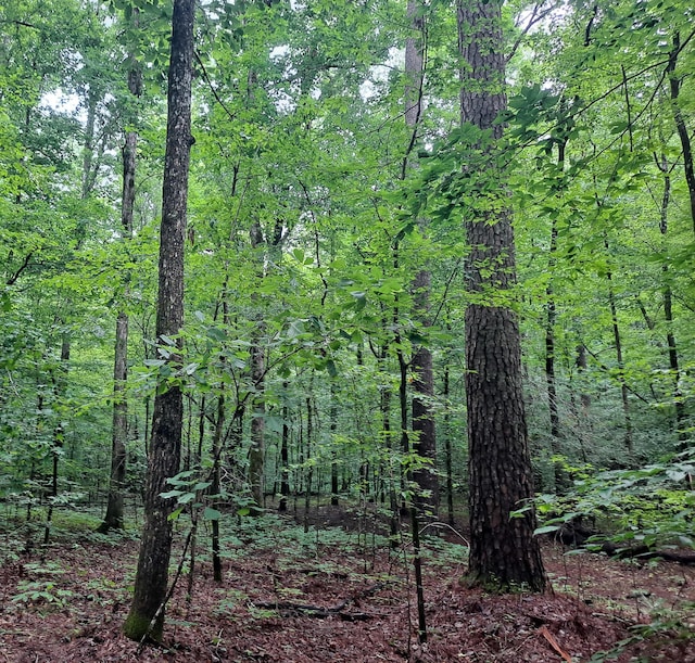 Old Parrish Cordova Rd, Parrish, AL 35580 - photo 6