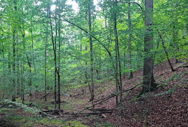 Old Parrish Cordova Rd, Parrish, AL 35580 - photo 7