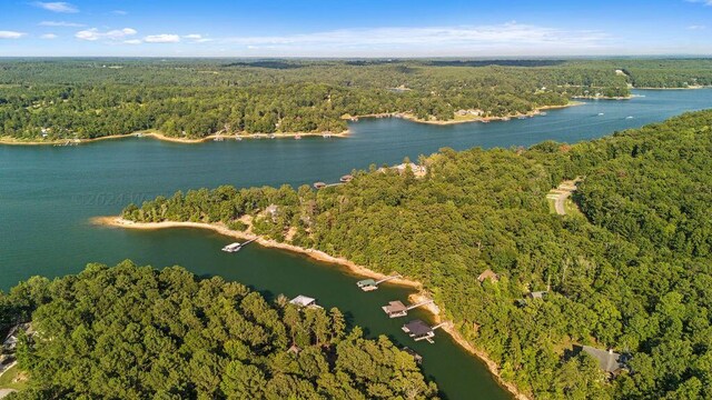 Port Overlook Point, Double Springs, AL 35553