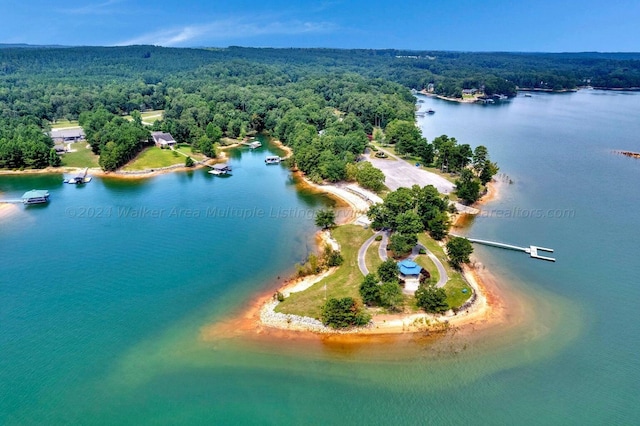 Port Overlook Point, Double Springs, AL 35553