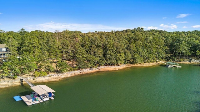 Port Overlook Point, Double Springs, AL 35553