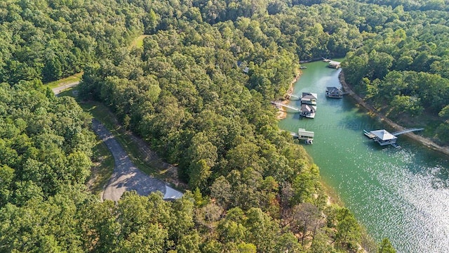 Port Overlook Point, Double Springs, AL 35553