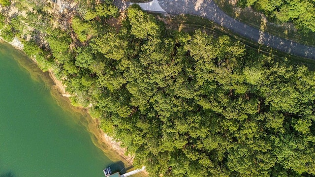 Port Overlook Point, Double Springs, AL 35553