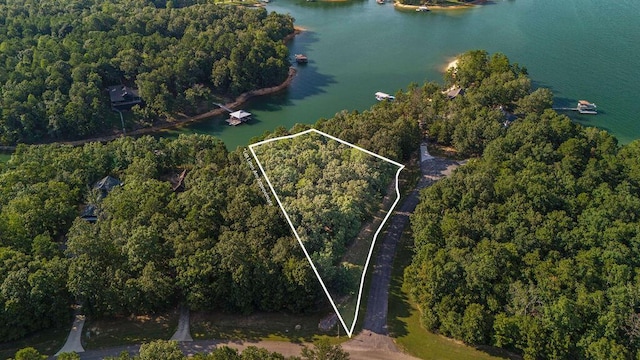 Port Overlook Point, Double Springs, AL 35553