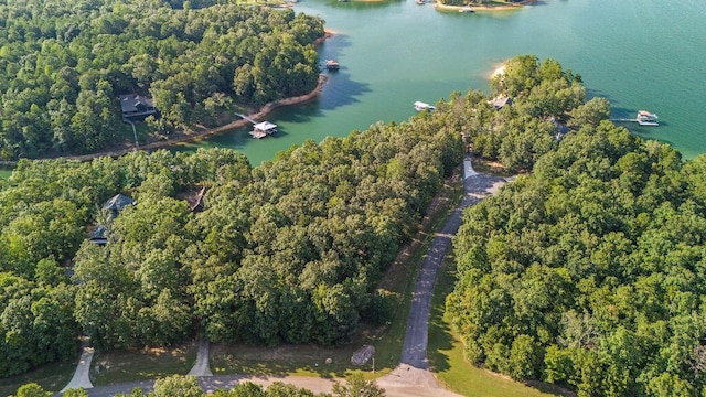 Port Overlook Point, Double Springs, AL 35553