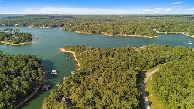 Port Overlook Point, Double Springs, AL 35553