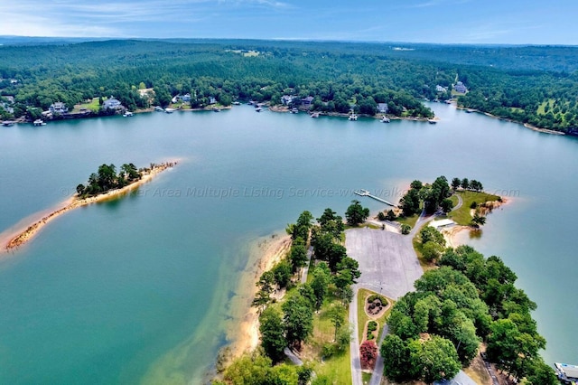 Port Overlook Point, Double Springs, AL 35553