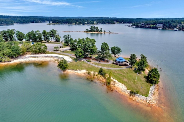 Port Overlook Point, Double Springs, AL 35553