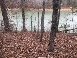 LOT40 Shoreside Dr, Double Springs, AL 35553 - photo 1