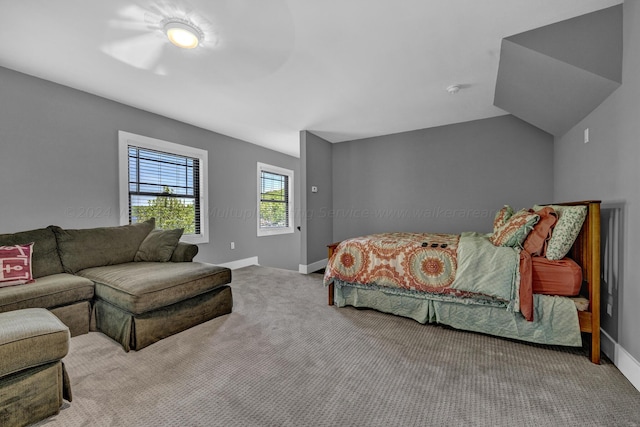 216 County Road 4207, Crane Hill, AL 35053 - photo 24