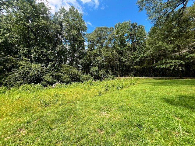 1567 3rd Ave NW, Fayette, AL 35555 - photo 3
