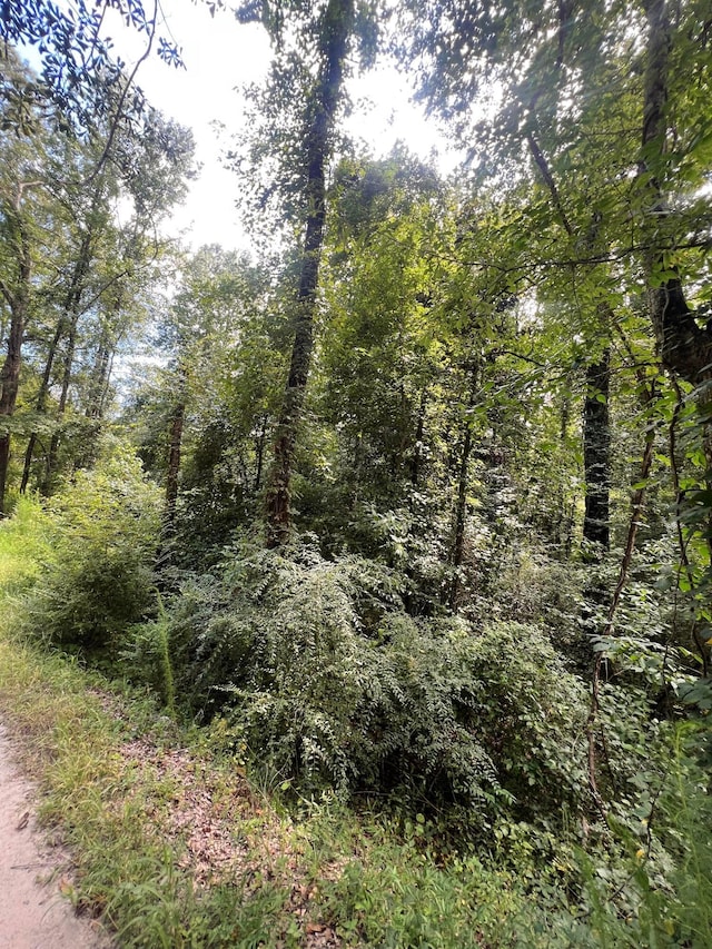 1567 3rd Ave NW, Fayette, AL 35555 - photo 8