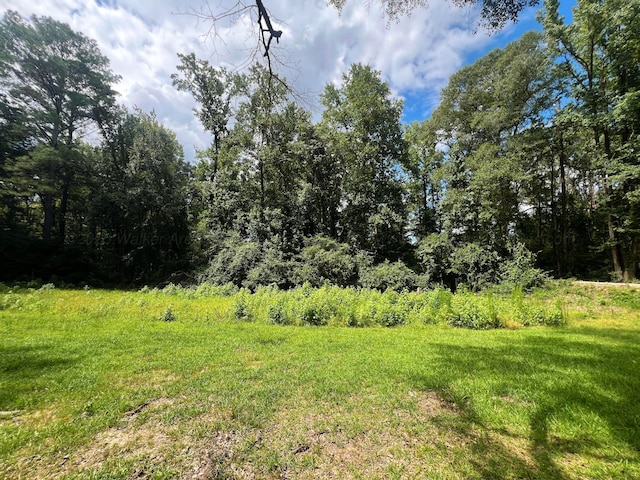 1567 3rd Ave NW, Fayette, AL 35555 - photo 1
