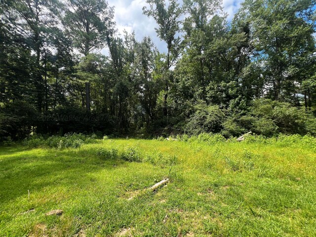1567 3rd Ave NW, Fayette, AL 35555 - photo 2