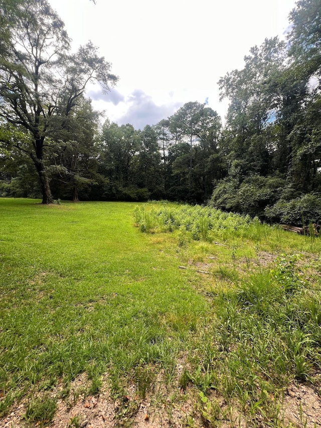 1567 3rd Ave NW, Fayette, AL 35555 - photo 4