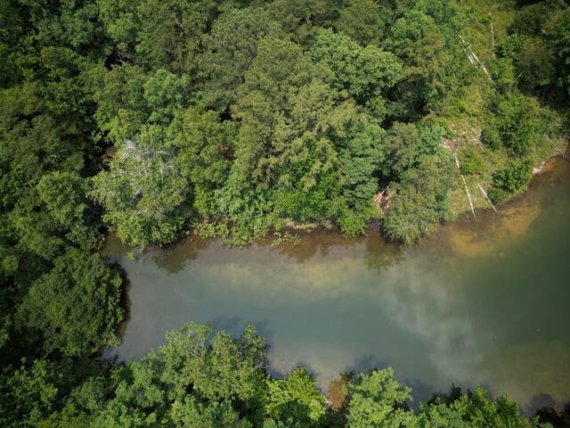 LOT31 Stoney Point Rd, Double Springs, AL 35553 - photo 15