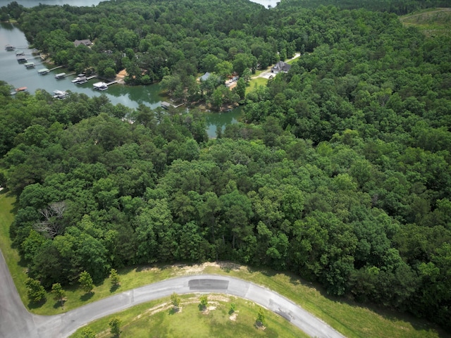 LOT31 Stoney Point Rd, Double Springs, AL 35553 - photo 2