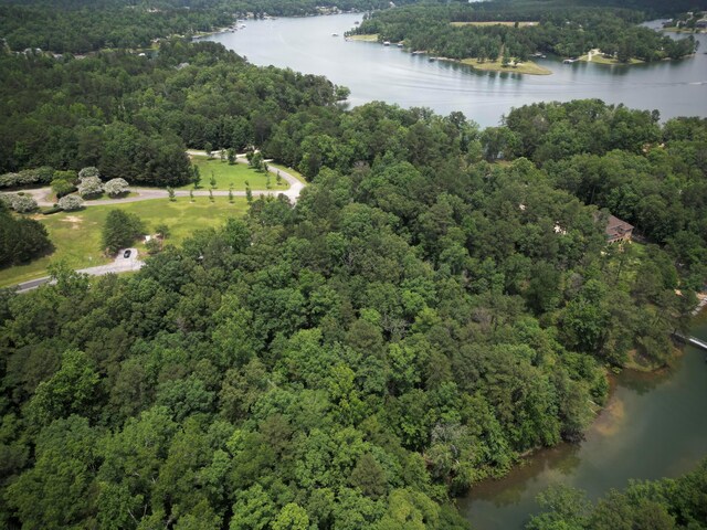 LOT31 Stoney Point Rd, Double Springs, AL 35553 - photo 8