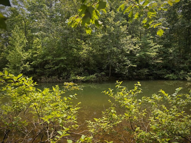LOT31 Stoney Point Rd, Double Springs, AL 35553 - photo 19