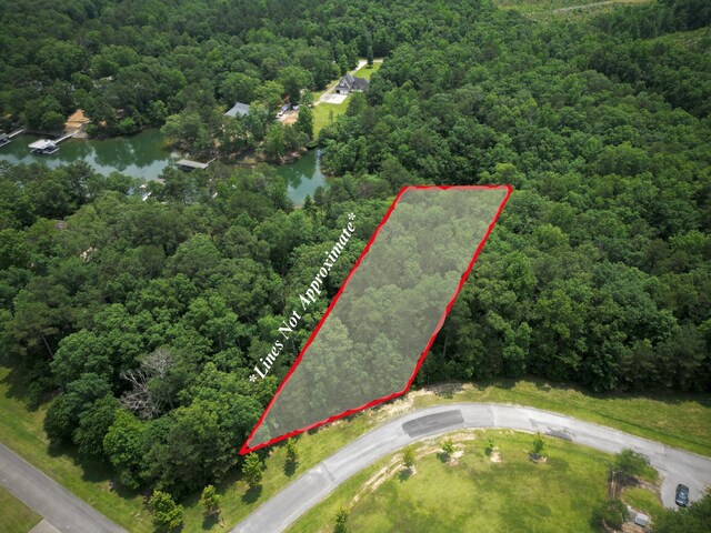 LOT31 Stoney Point Rd, Double Springs, AL 35553 - photo 1