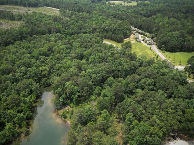 LOT31 Stoney Point Rd, Double Springs, AL 35553 - photo 12