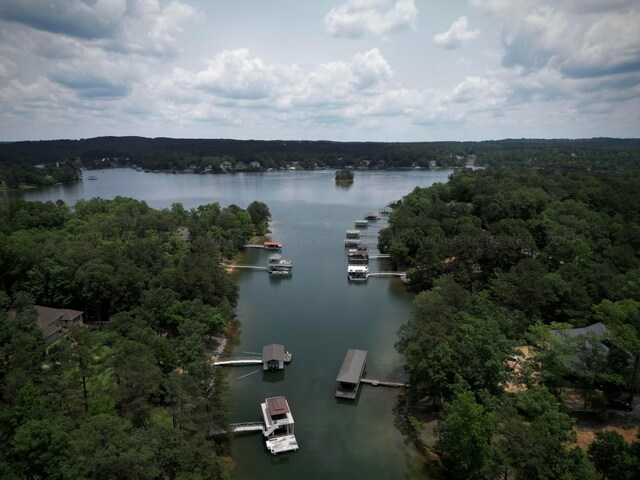 LOT31 Stoney Point Rd, Double Springs, AL 35553 - photo 16