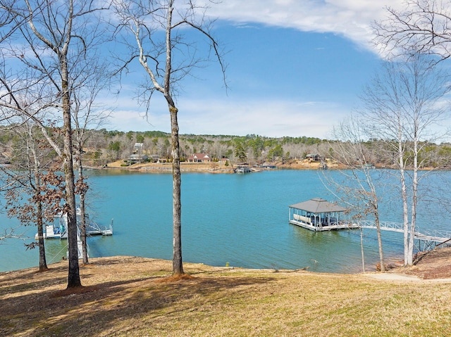 186 Lake Dr, Arley, AL 35541 - photo 5