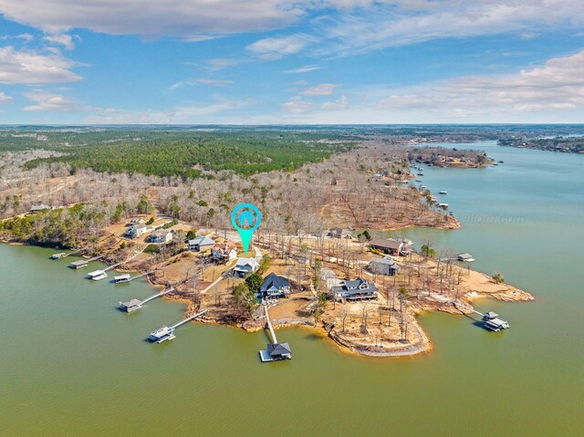 186 Lake Dr, Arley, AL 35541 - photo 41