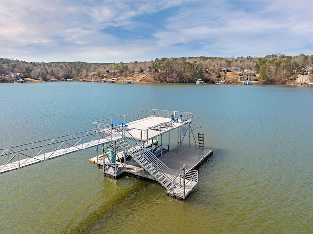 186 Lake Dr, Arley, AL 35541 - photo 4