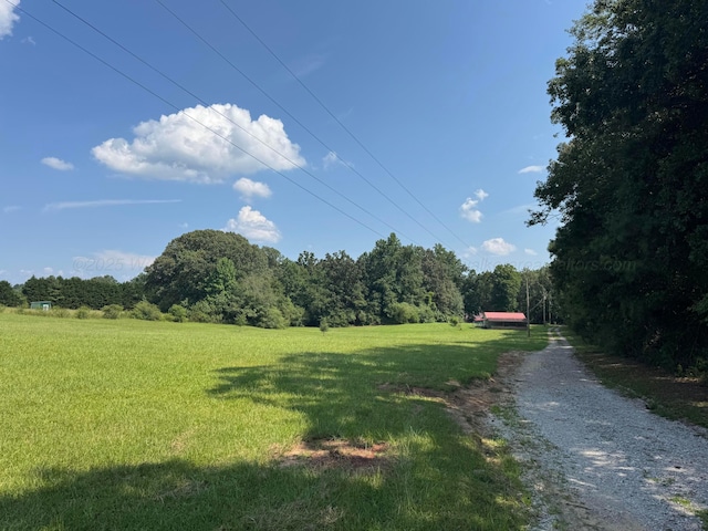 349 County Rd 16, Arley, AL 35541 - photo 6