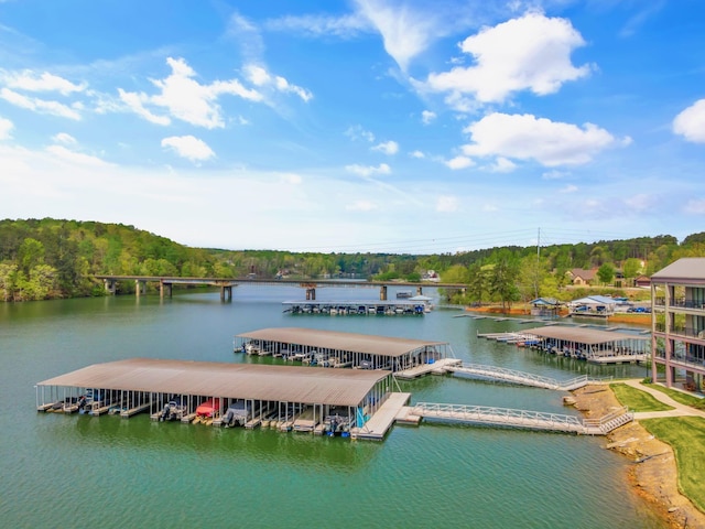 200 County Road 96, Crane Hill, AL 35053 - photo 35