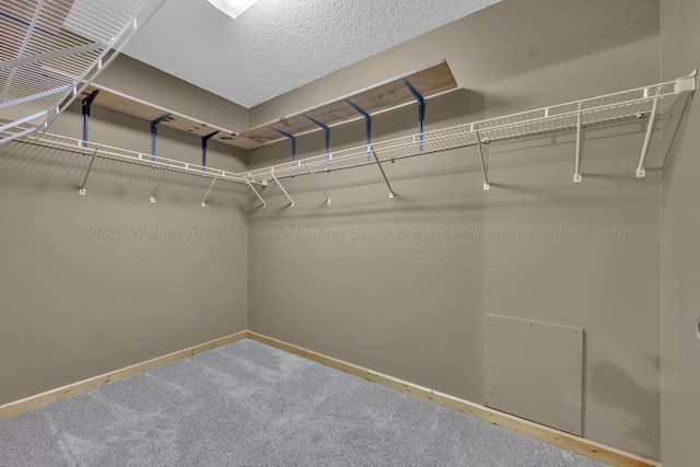 5305 Split Rail Dr, Jasper, AL 35503 - walk in closet with carpet floors