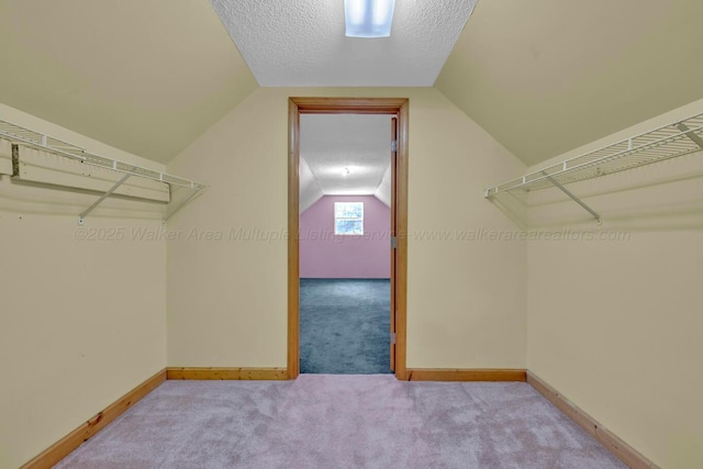 5305 Split Rail Dr, Jasper, AL 35503 - spacious closet with carpet floors and lofted ceiling