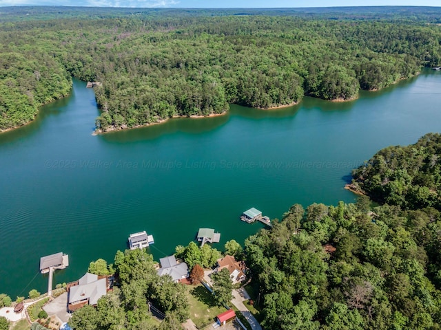 436 Ducktail Rd, Houston, AL 35572 - aerial view of property's location featuring a forest and a large body of water