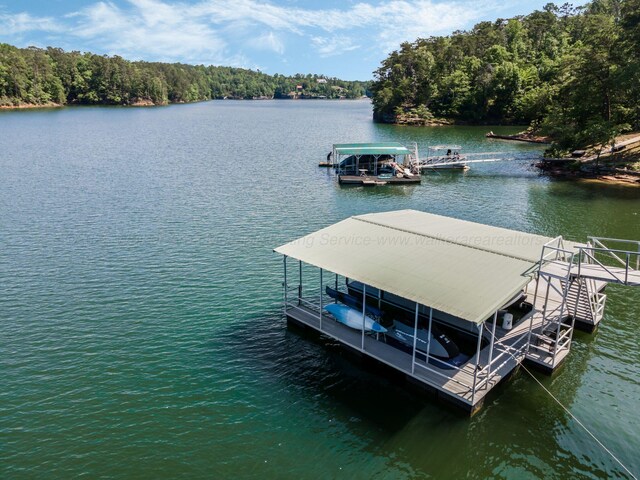 436 Ducktail Rd, Houston, AL 35572 - dock area with a water view and a wooded view
