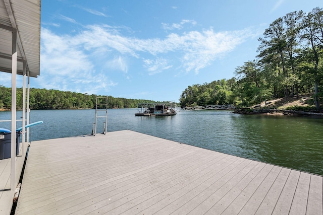 436 Ducktail Rd, Houston, AL 35572 - dock featuring a water view and a forest view