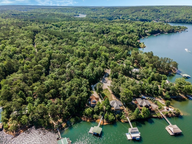 436 Ducktail Rd, Houston, AL 35572 - drone / aerial view of a forest and a large body of water