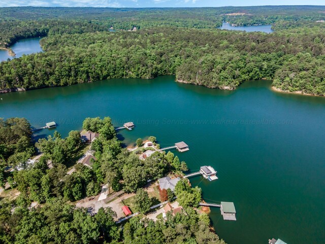 436 Ducktail Rd, Houston, AL 35572 - bird's eye view of a heavily wooded area and a nearby body of water